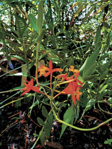 article image - 